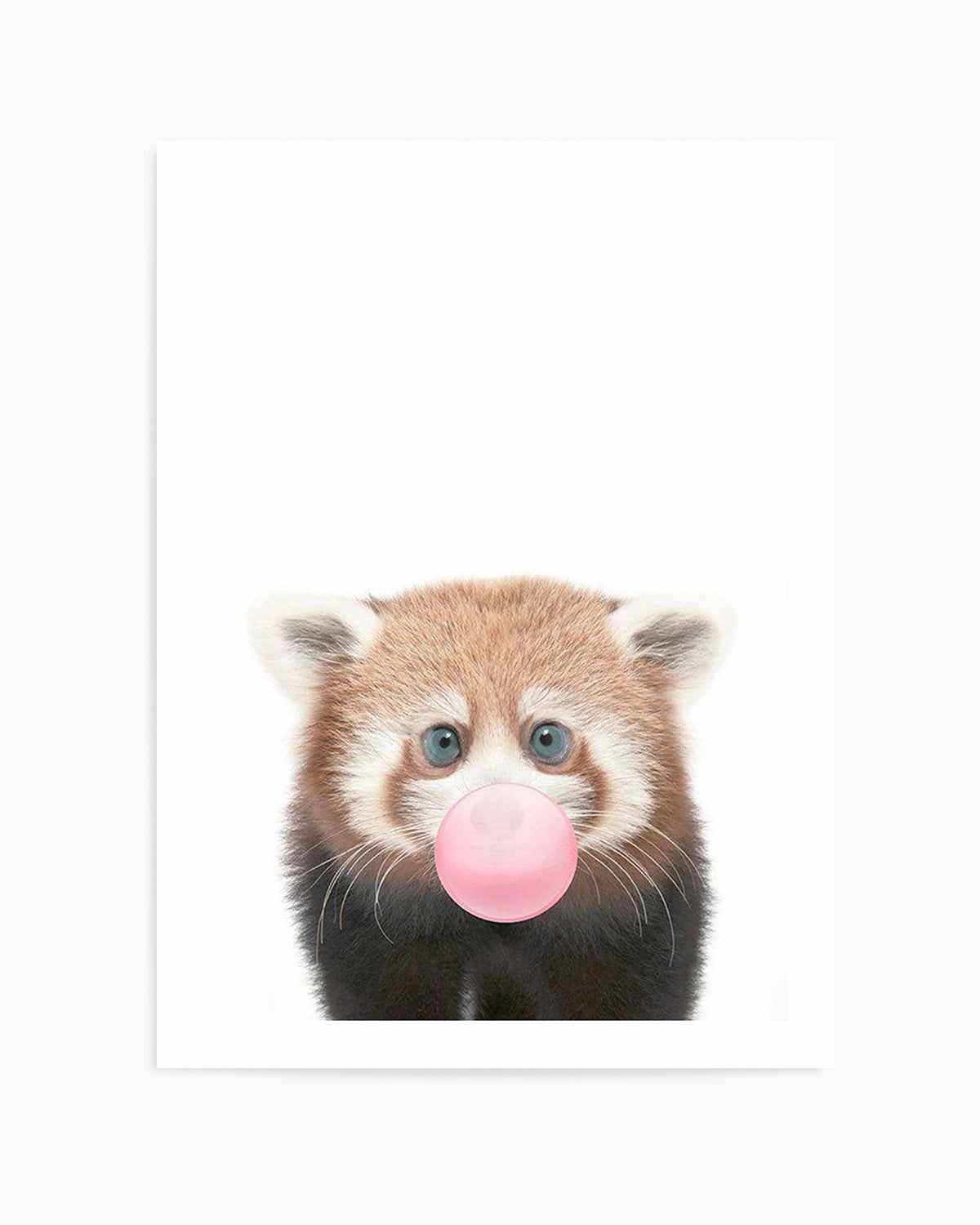 Little Red Panda | Blowing Pink Bubble Art Print