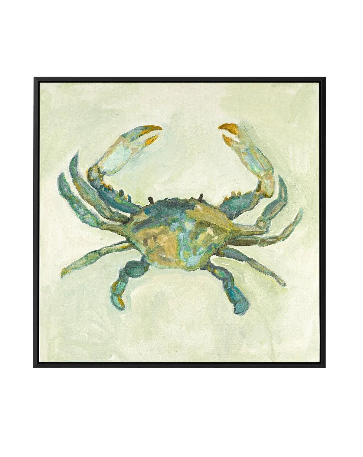 Little Sage Crab by Natalie Jane | Framed Canvas Art Print from Olive et Oriel where you can shop wallpaper and artworks online