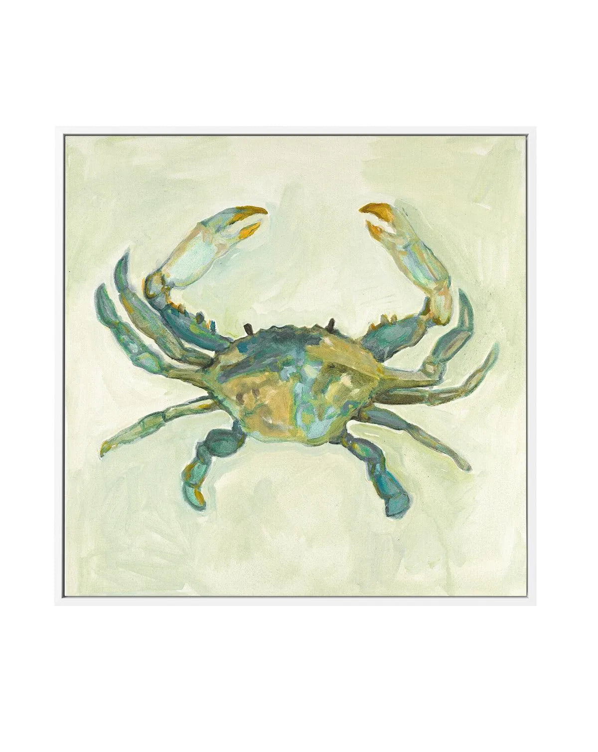 Little Sage Crab by Natalie Jane | Framed Canvas Art Print from Olive et Oriel where you can shop wallpaper and artworks online