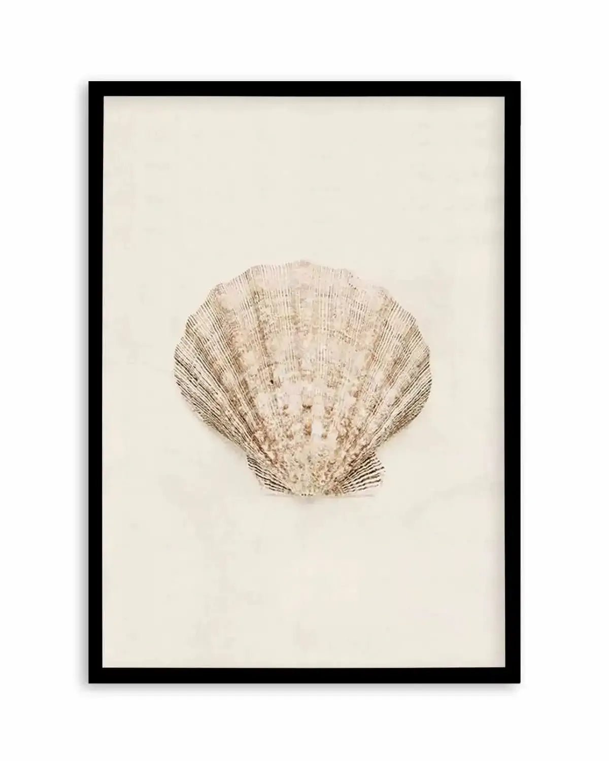 Little Seashell I Art Print from Olive et Oriel where you can shop wallpaper and artworks online
