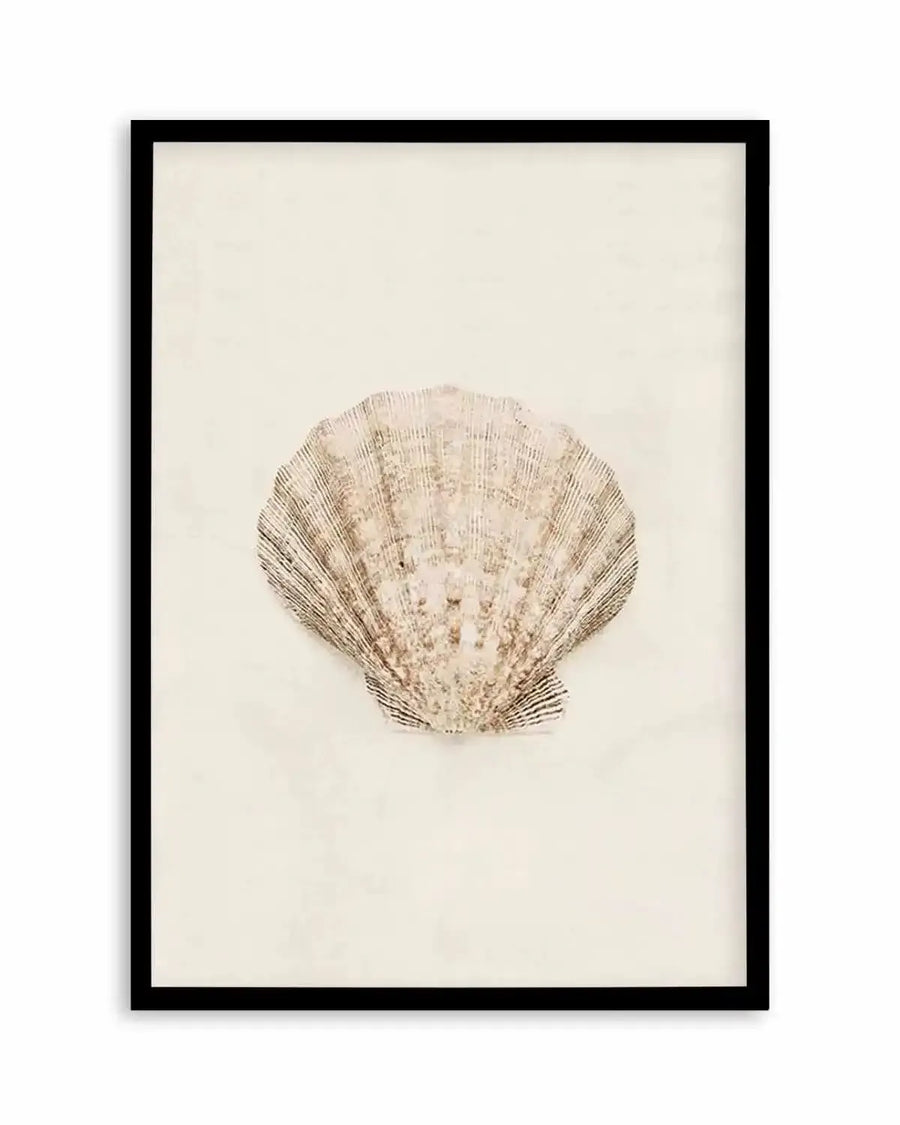 Little Seashell I Art Print from Olive et Oriel where you can shop wallpaper and artworks online