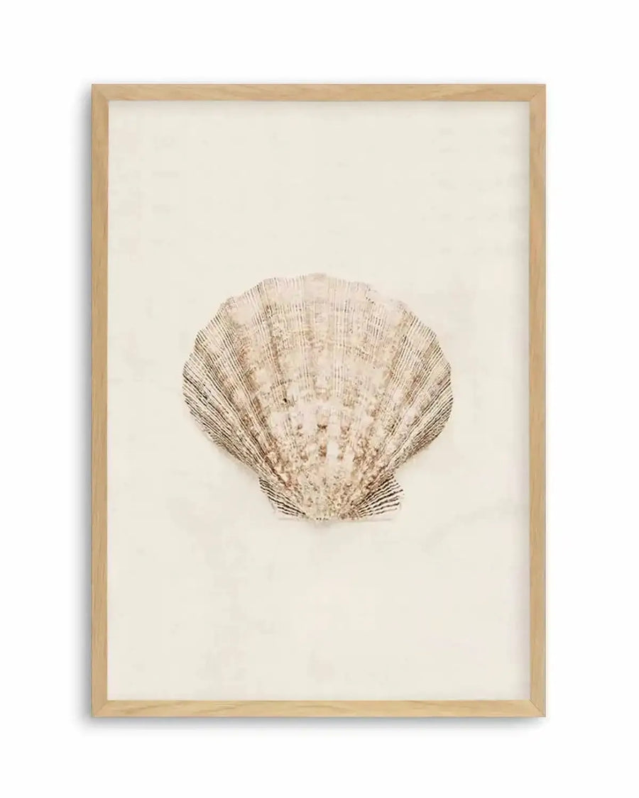 Little Seashell I Art Print from Olive et Oriel where you can shop wallpaper and artworks online
