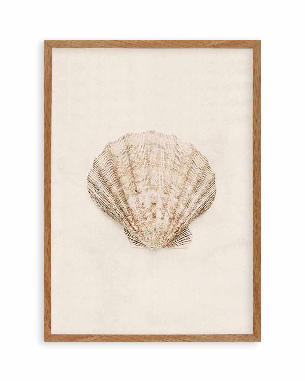 Little Seashell I Art Print