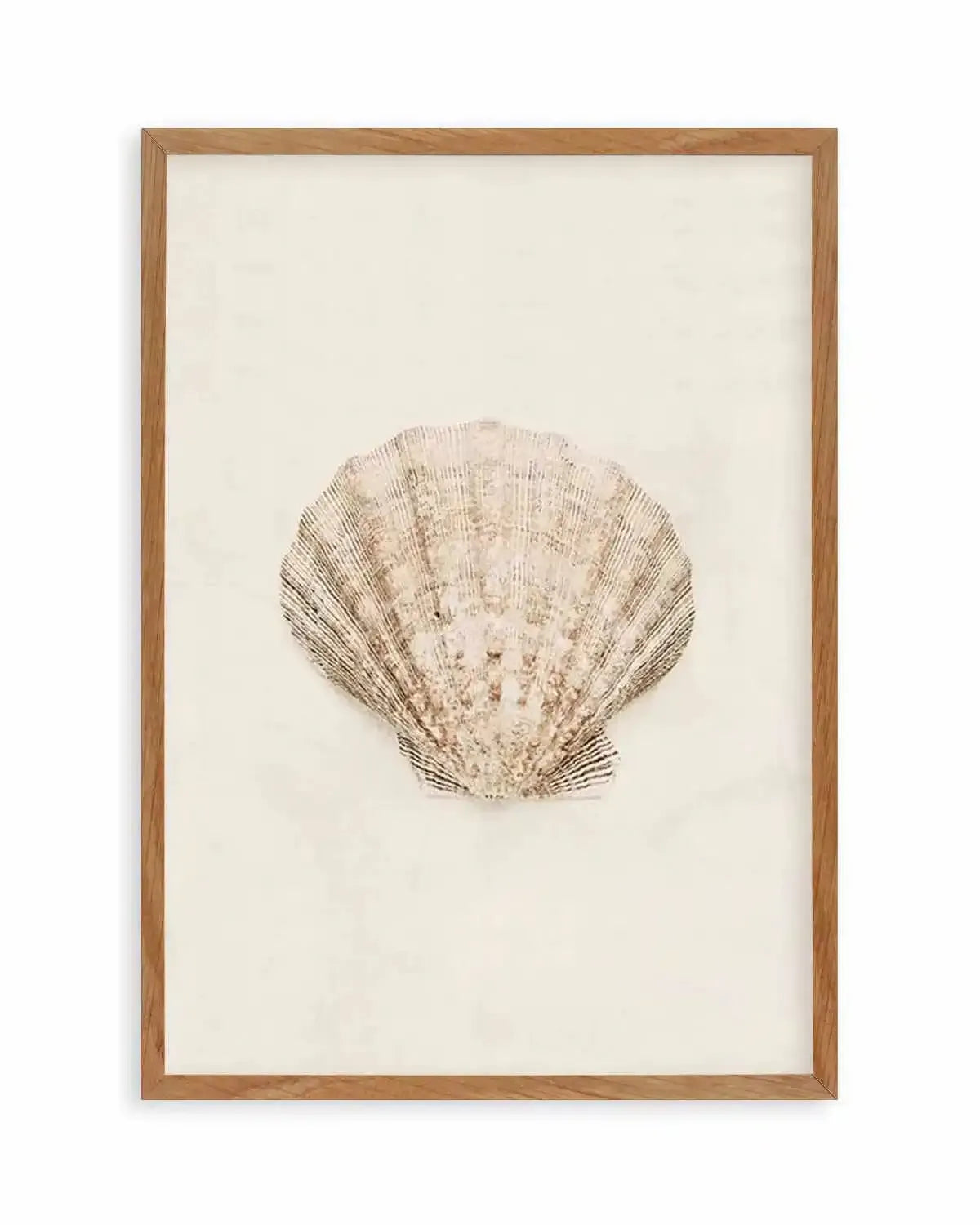 Little Seashell I Art Print from Olive et Oriel where you can shop wallpaper and artworks online