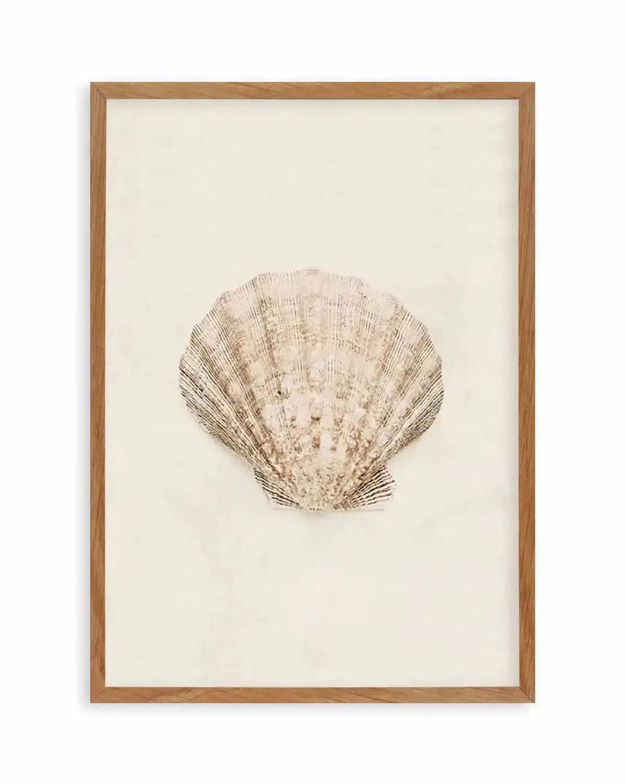 Watercolour art print featuring a detailed seashell in muted beige and brown tones with visible ridged texture, printed on fine art paper and displayed in a natural oak frame with white border.