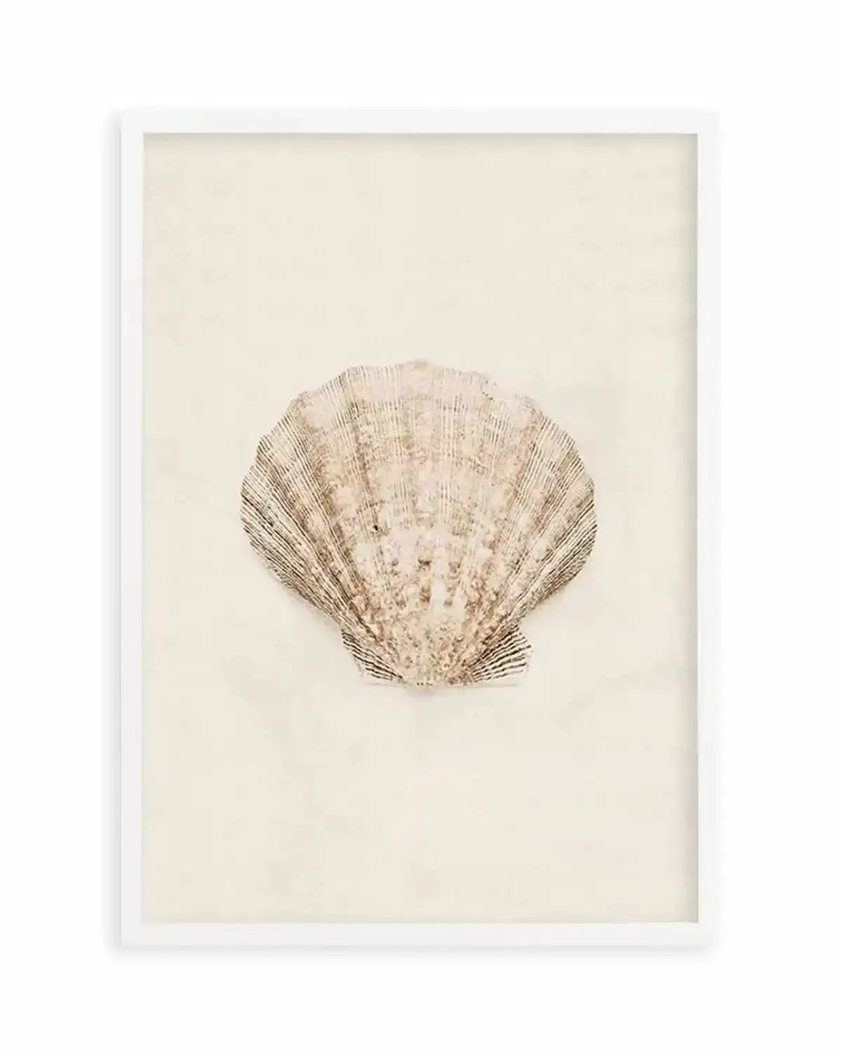 Little Seashell I Art Print from Olive et Oriel where you can shop wallpaper and artworks online