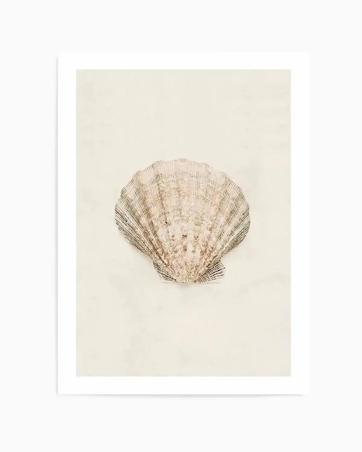 Little Seashell I Art Print from Olive et Oriel where you can shop wallpaper and artworks online
