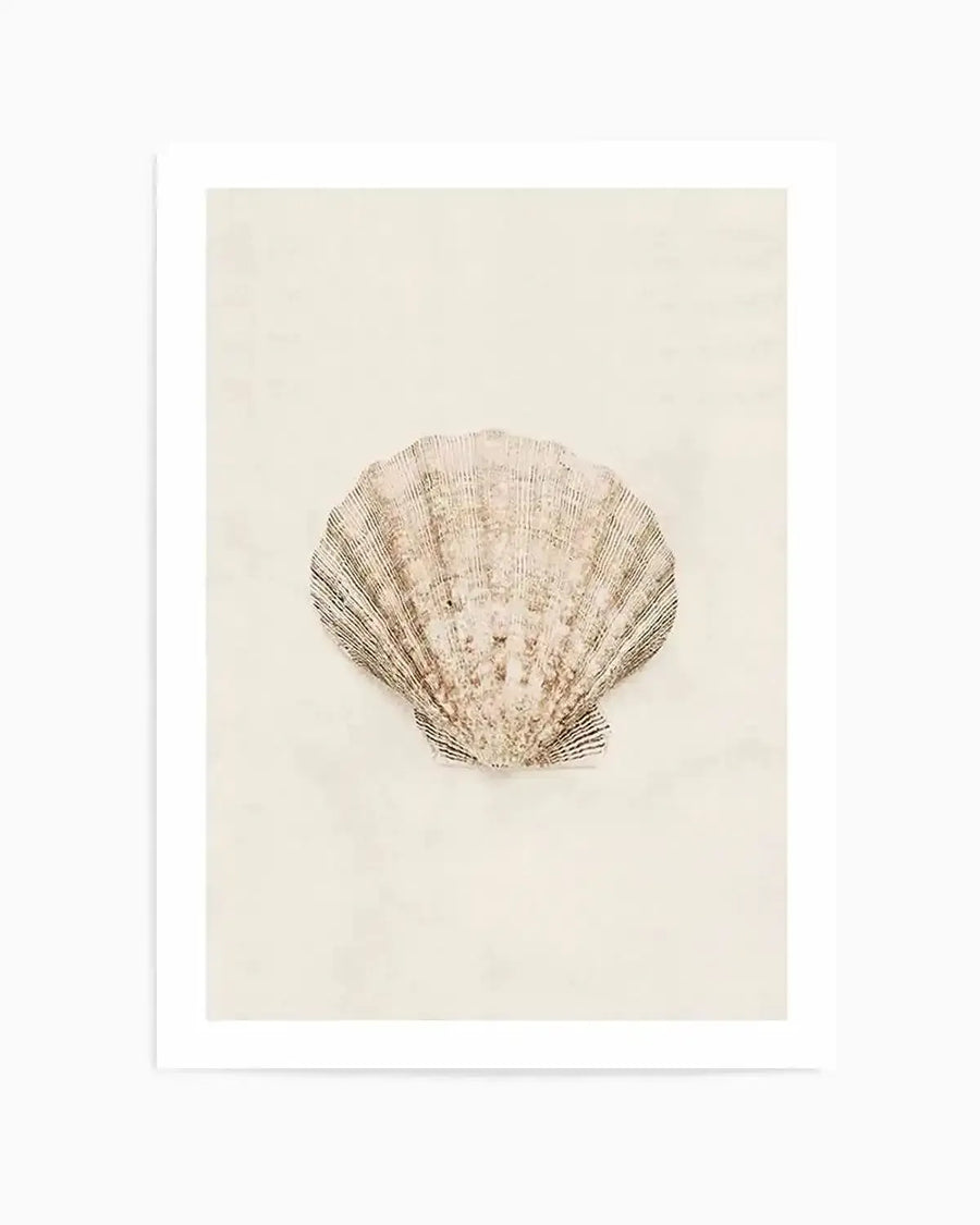 Watercolour art print featuring a single scallop seashell with delicate ridged texture in muted beige, cream, and soft grey tones on a plain off-white background.