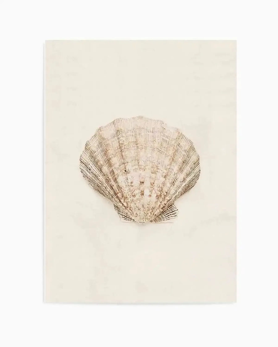 Watercolour art print featuring a single scallop seashell in muted beige and brown tones with fine ridged texture, centered on a soft cream background.