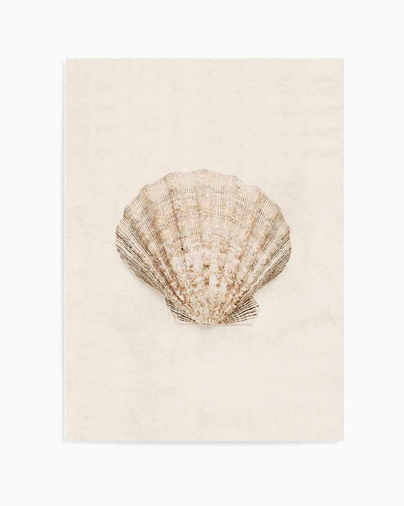 Little Seashell I Art Print
