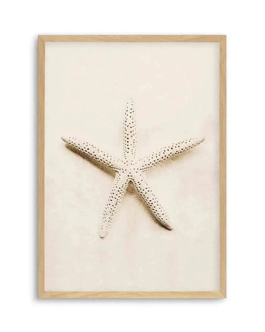 Little Starfish Art Print from Olive et Oriel where you can shop wallpaper and artworks online