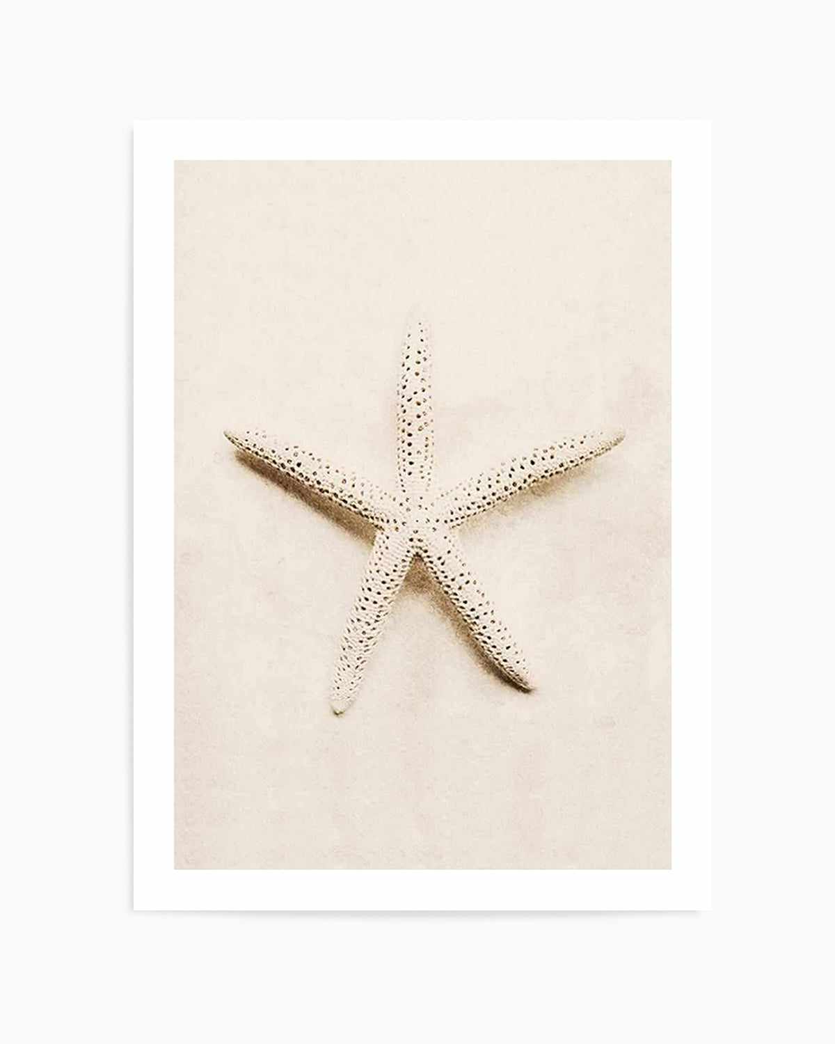 Little Starfish Art Print