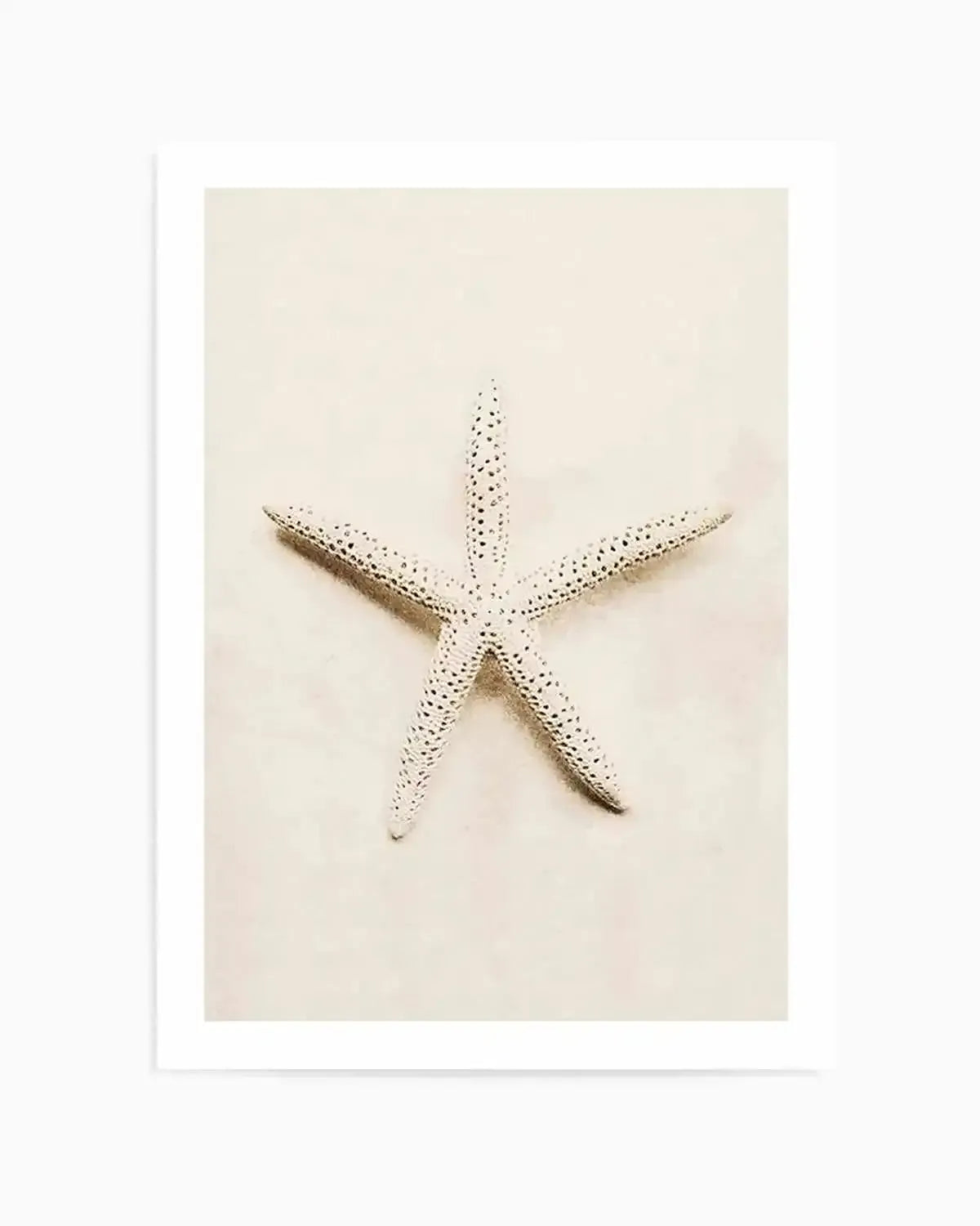 Little Starfish Art Print from Olive et Oriel where you can shop wallpaper and artworks online