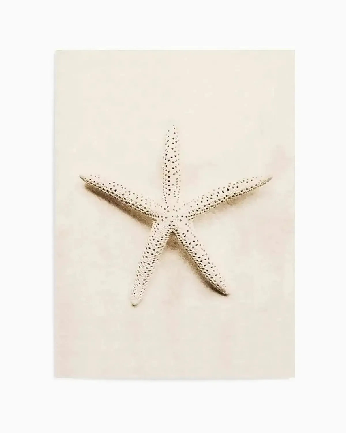 Little Starfish Art Print from Olive et Oriel where you can shop wallpaper and artworks online