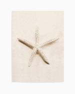 Little Starfish Art Print