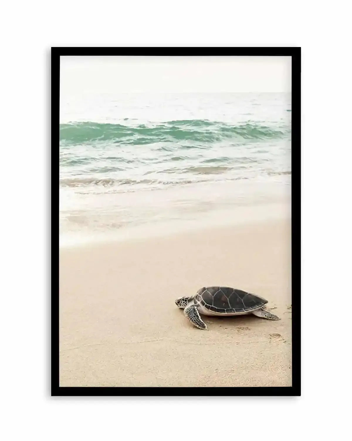 Little Turtle II Art Print from Olive et Oriel where you can shop wallpaper and artworks online