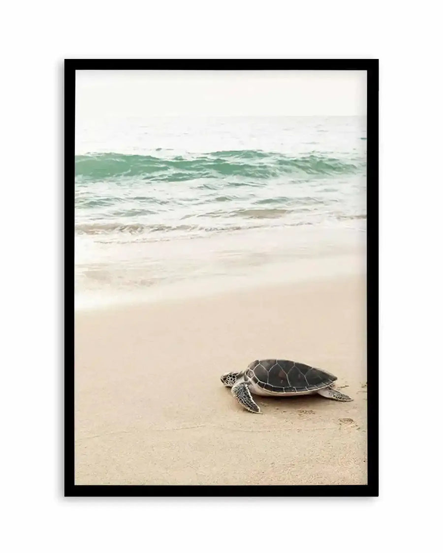 Little Turtle II Art Print from Olive et Oriel where you can shop wallpaper and artworks online