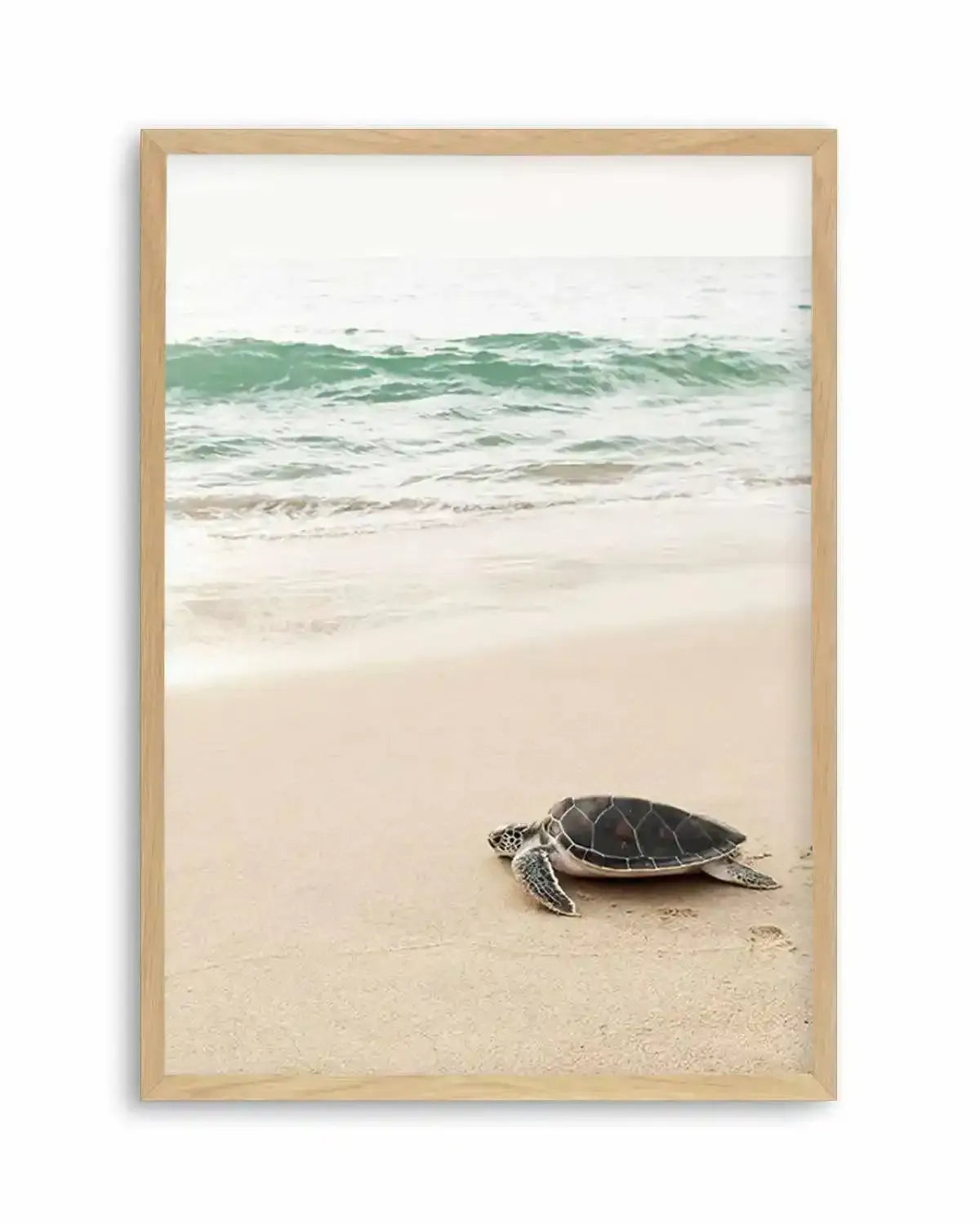 Little Turtle II Art Print from Olive et Oriel where you can shop wallpaper and artworks online
