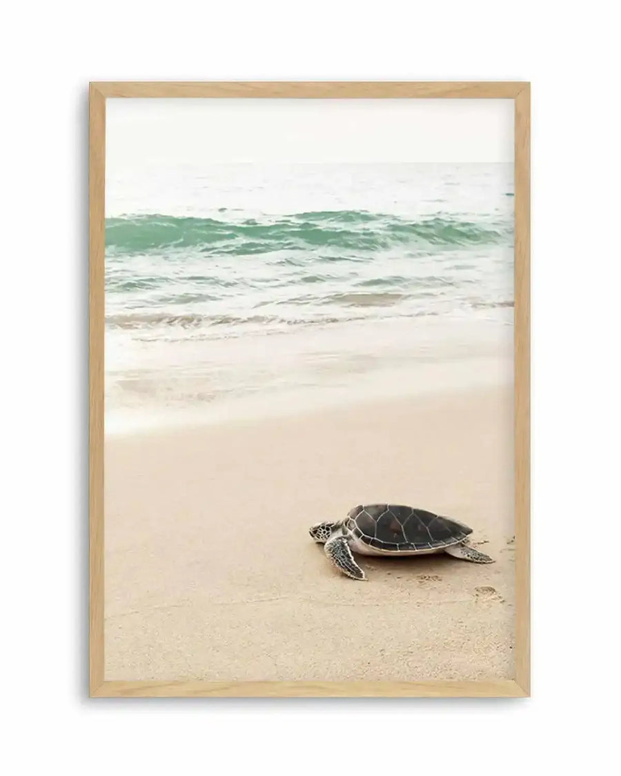 Little Turtle II Art Print from Olive et Oriel where you can shop wallpaper and artworks online