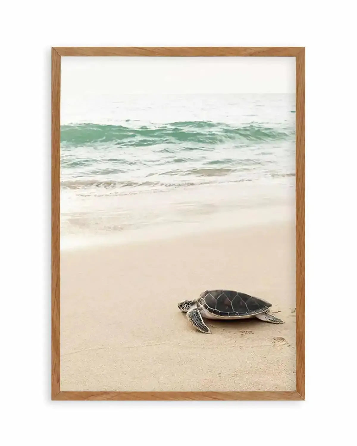 Little Turtle II Art Print from Olive et Oriel where you can shop wallpaper and artworks online