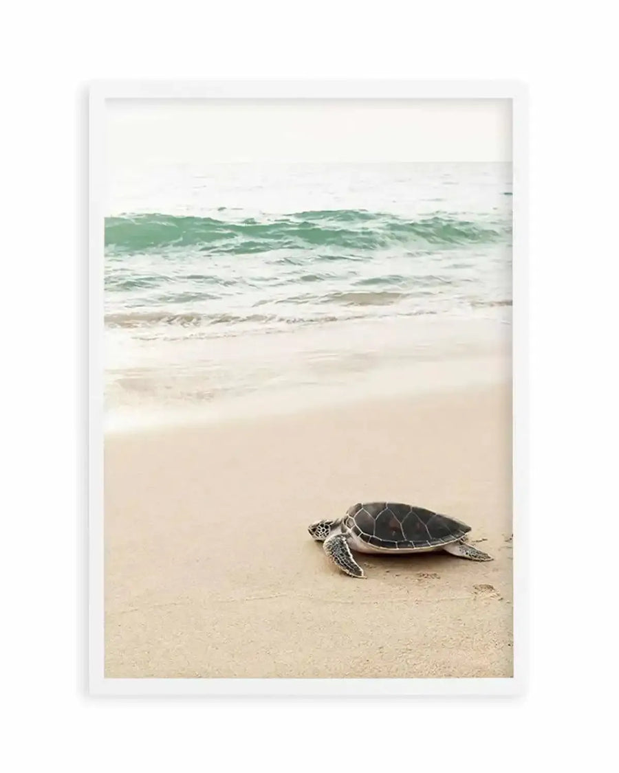 Little Turtle II Art Print from Olive et Oriel where you can shop wallpaper and artworks online