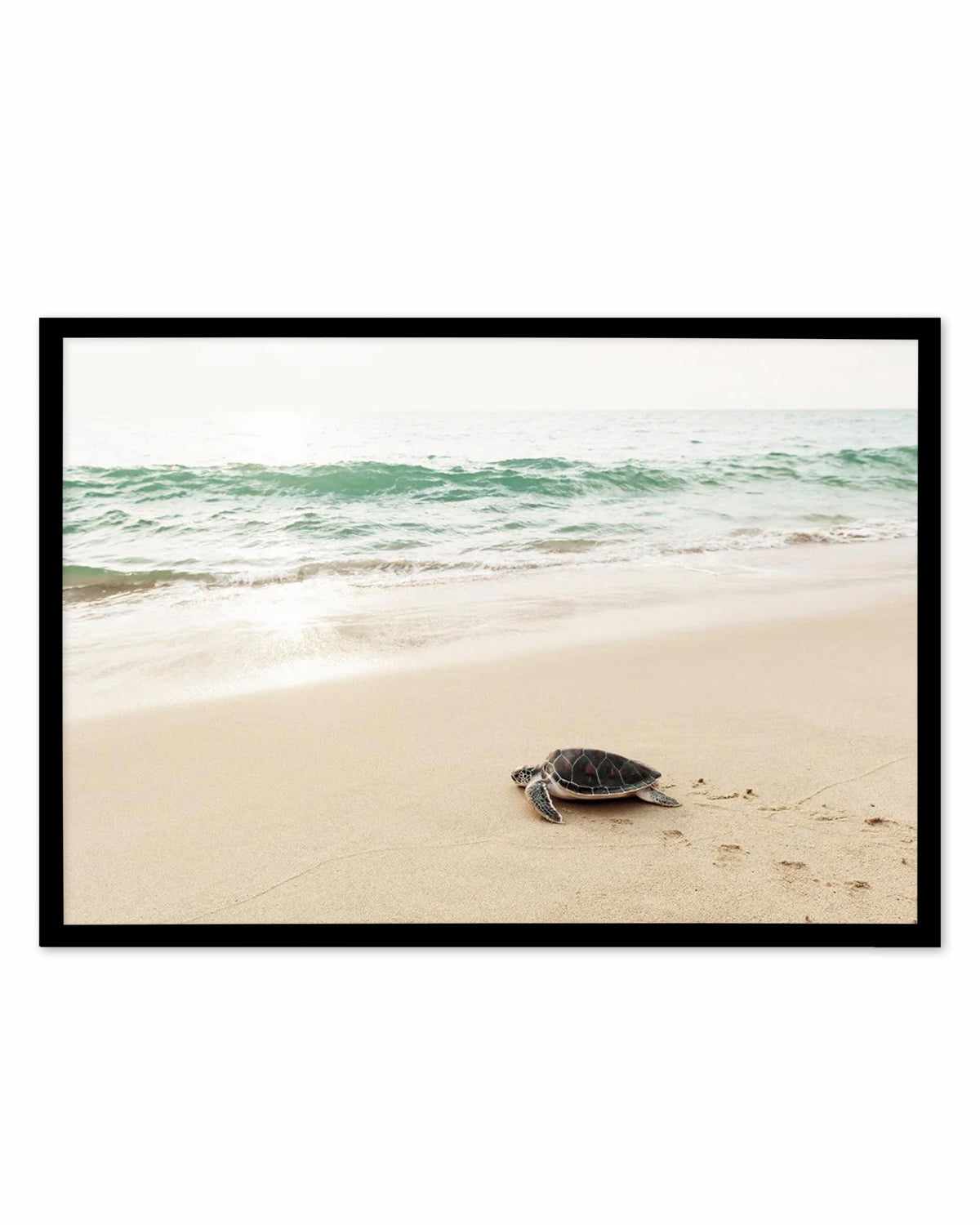 Little Turtle III Art Print