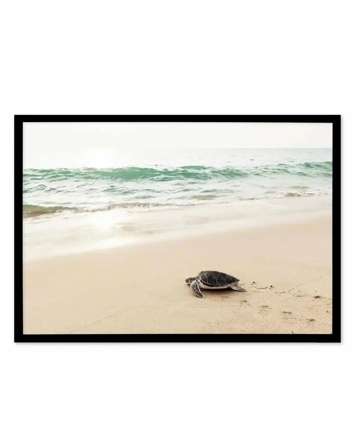 Little Turtle III Art Print from Olive et Oriel where you can shop wallpaper and artworks online