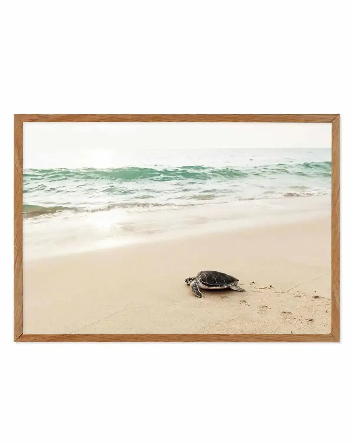 Little Turtle III Art Print from Olive et Oriel where you can shop wallpaper and artworks online