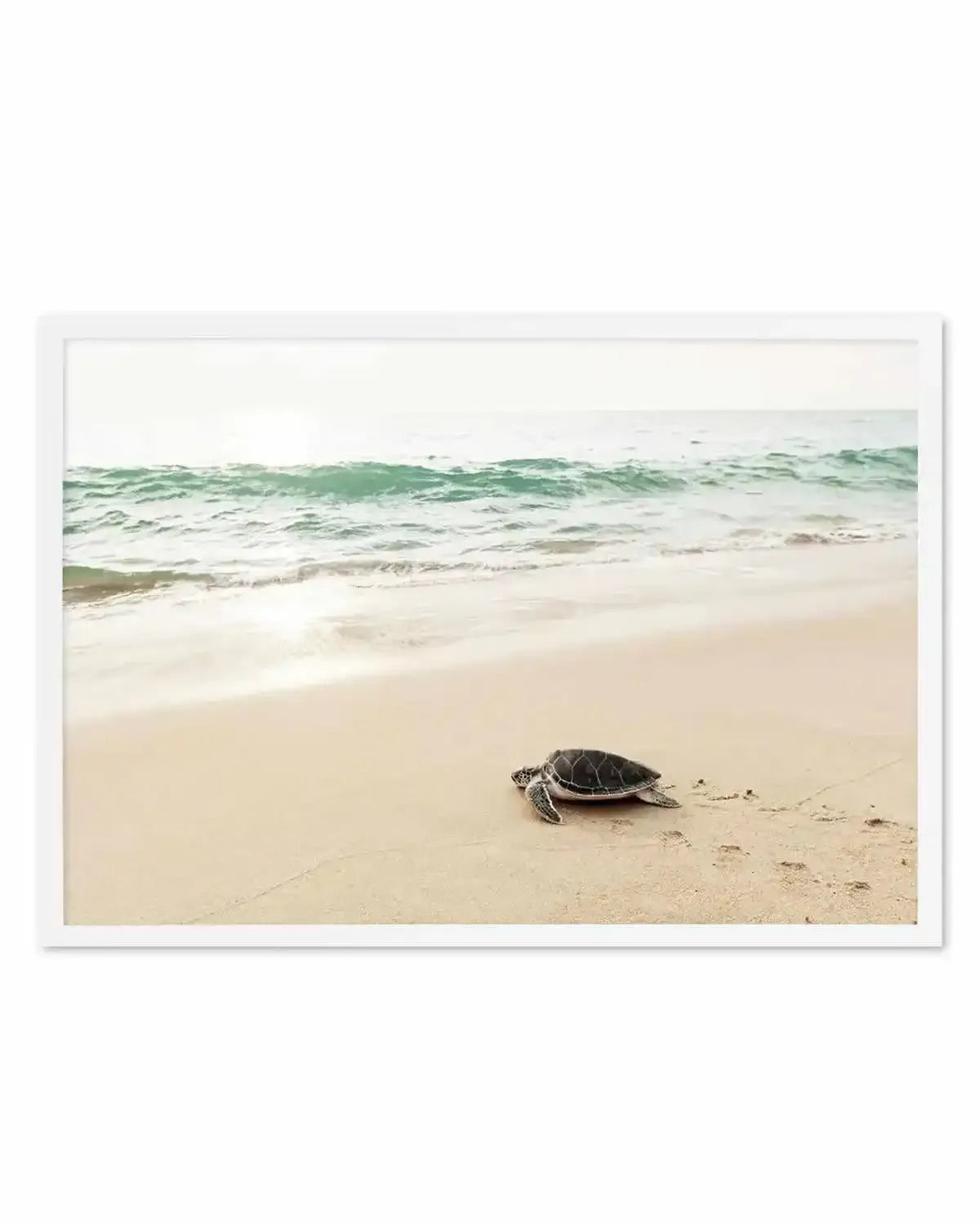 Little Turtle III Art Print from Olive et Oriel where you can shop wallpaper and artworks online