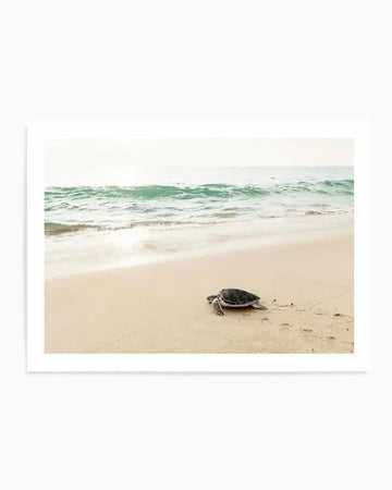 Photography art print of a small, dark-shelled sea turtle crawling across light tan sand towards the ocean. Gentle, light turquoise waves break on the shore under a bright, overcast sky.