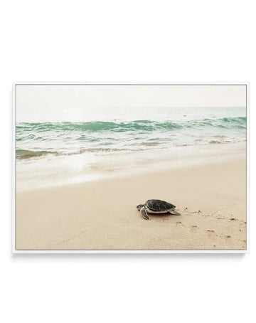 Framed canvas art print featuring a sea turtle on a sandy beach in the foreground, moving toward turquoise and seafoam green ocean waves under a pale sky. The photograph captures soft, naturalistic colors with beige sand, white foam from the waves, and muted green water. The canvas is presented in a thin gray frame with a white border.