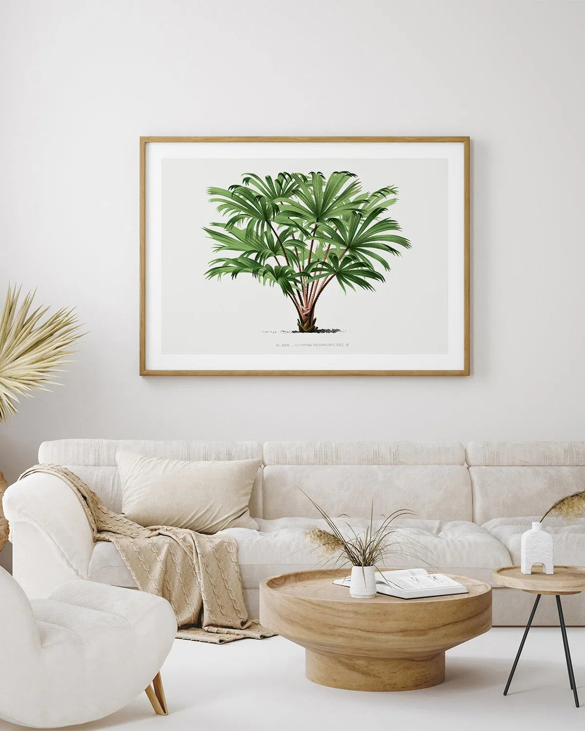 Livistona Hoogendorpii Vintage Palm Poster Art Print from Olive et Oriel where you can shop wallpaper and artworks online