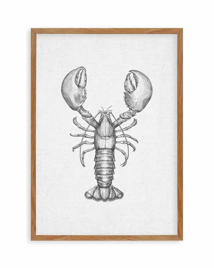 Pencil illustration of a lobster on a white linen background, printed on fine art paper and displayed in a natural oak frame with white border. The lobster is depicted in a top-down view with large claws, segmented body, and fanned tail, rendered in shades of grey with visible shading and texture.