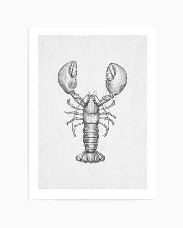 Art Print:
Detailed pencil illustration of a lobster in black and white, centered on a textured white background, printed on fine art paper. The lobster is depicted from above, with large claws raised and segmented body, showcasing fine line work and shading.