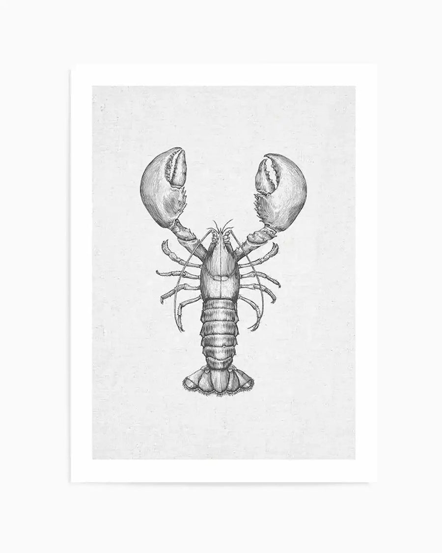 Art Print:
Detailed pencil illustration of a lobster in black and white, centered on a textured white background, printed on fine art paper. The lobster is depicted from above, with large claws raised and segmented body, showcasing fine line work and shading.
