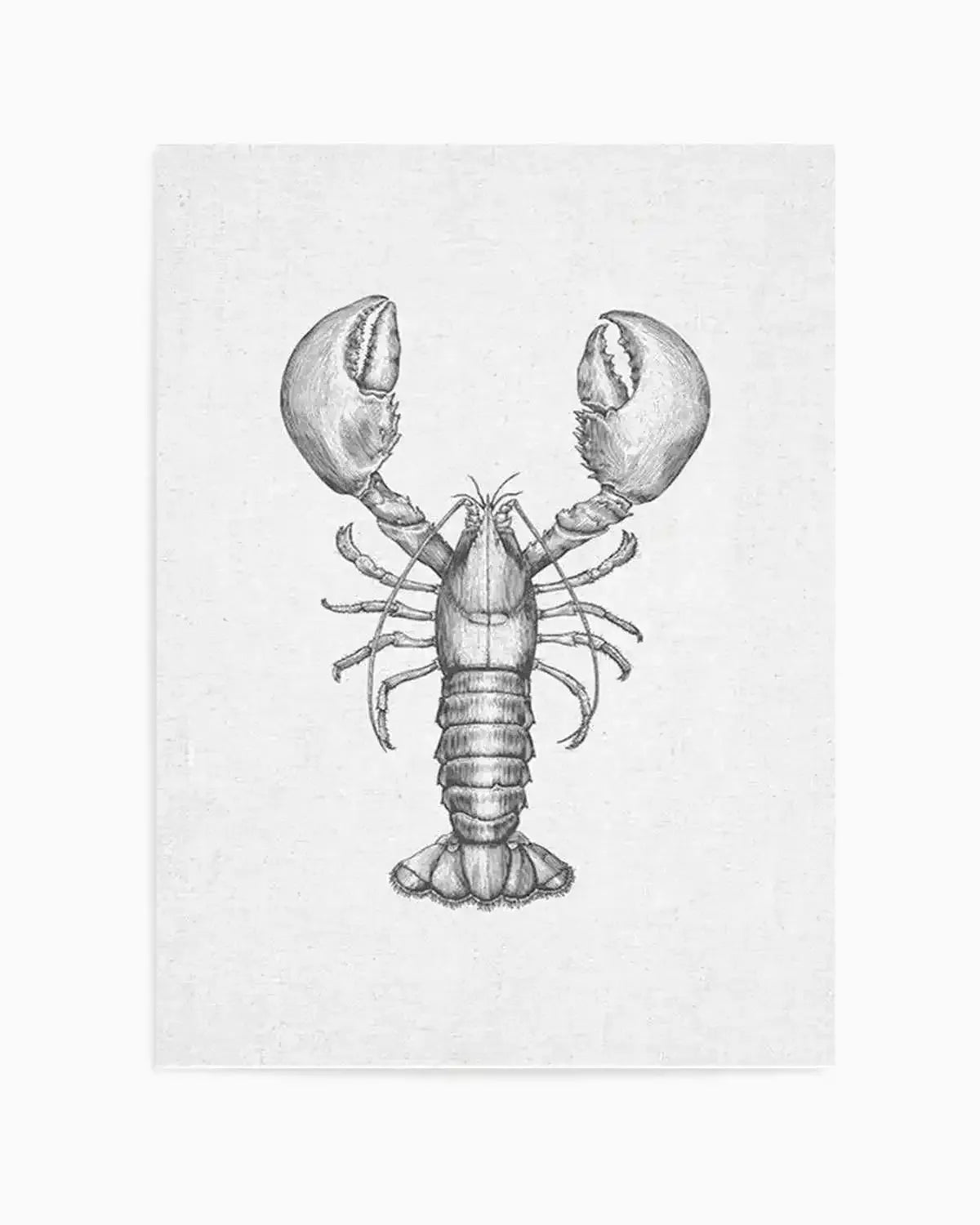 Lobster on Linen Art Print from Olive et Oriel where you can shop wallpaper and artworks online