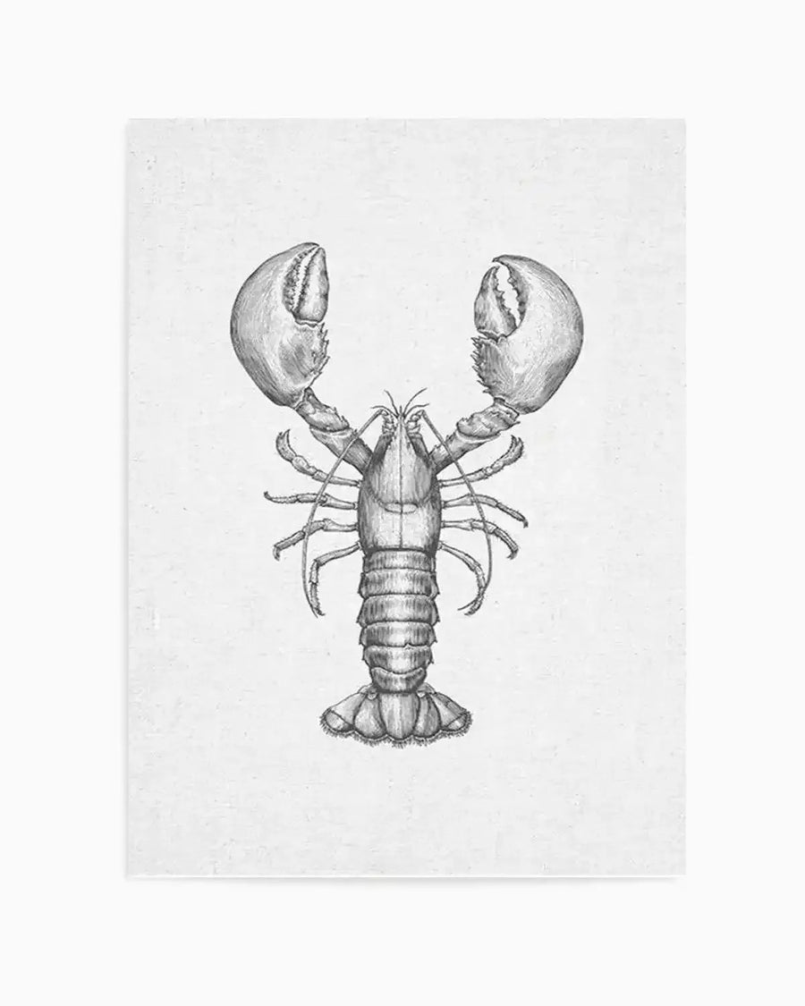 Art Print:
Detailed black and white illustration of a lobster, rendered with fine lines and shading, against a textured off-white background resembling linen. The lobster is depicted facing forward with large claws raised and a segmented body.