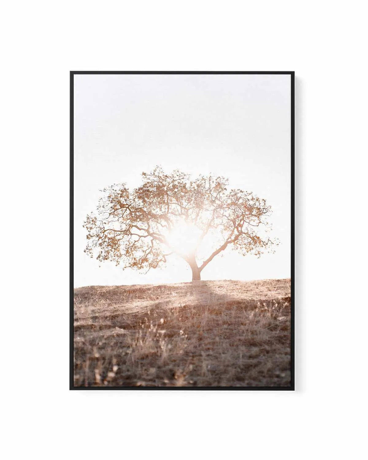 Lone Tree Hill PT by Caleb Morris | Framed Canvas Art Print from Olive et Oriel where you can shop wallpaper and artworks online