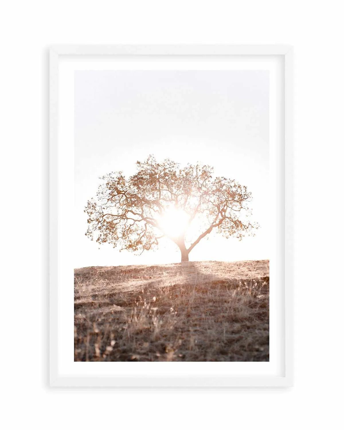 Lone Tree Hill PT by Caleb Morris Art Print from Olive et Oriel where you can shop wallpaper and artworks online