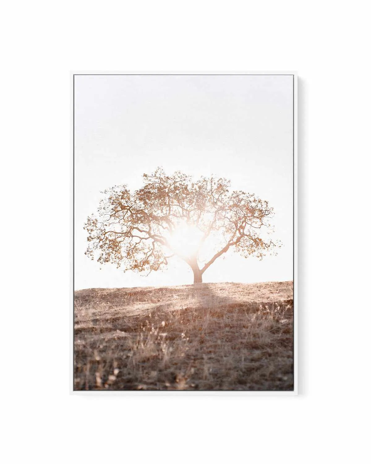 Lone Tree Hill PT by Caleb Morris | Framed Canvas Art Print from Olive et Oriel where you can shop wallpaper and artworks online