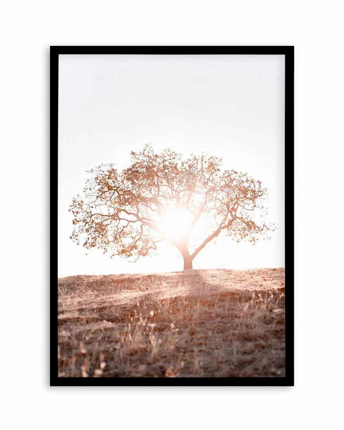 Lone Tree Hill PT by Caleb Morris Art Print from Olive et Oriel where you can shop wallpaper and artworks online