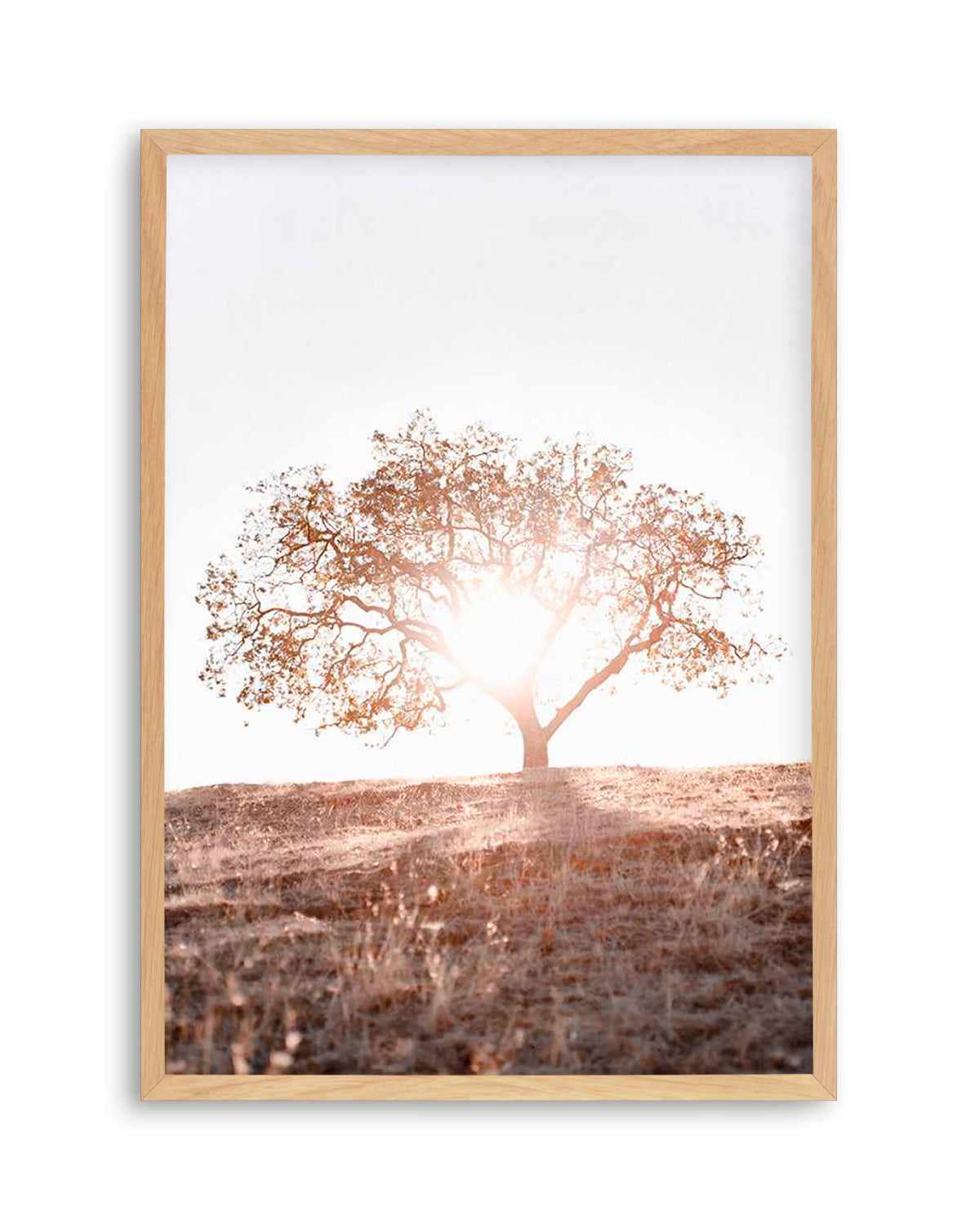 Lone Tree Hill PT by Caleb Morris Art Print