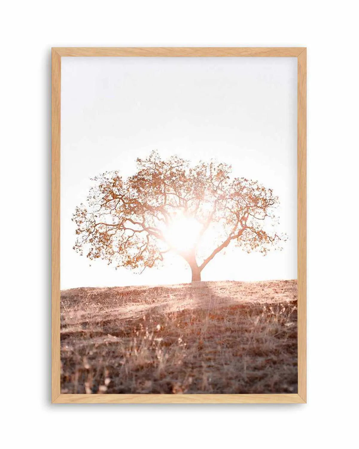 Lone Tree Hill PT by Caleb Morris Art Print from Olive et Oriel where you can shop wallpaper and artworks online