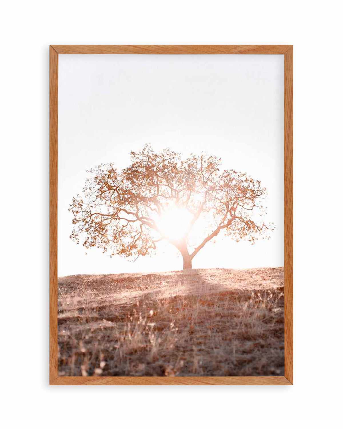 Lone Tree Hill PT by Caleb Morris Art Print