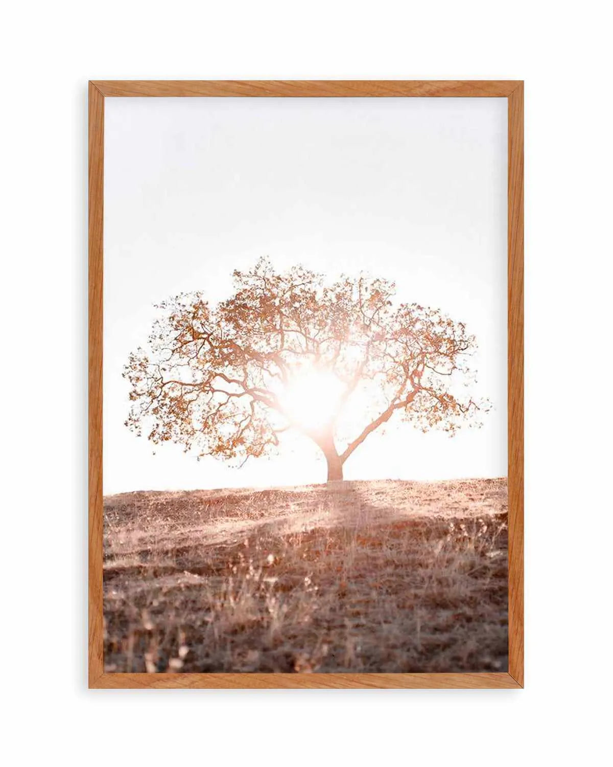Lone Tree Hill PT by Caleb Morris Art Print from Olive et Oriel where you can shop wallpaper and artworks online