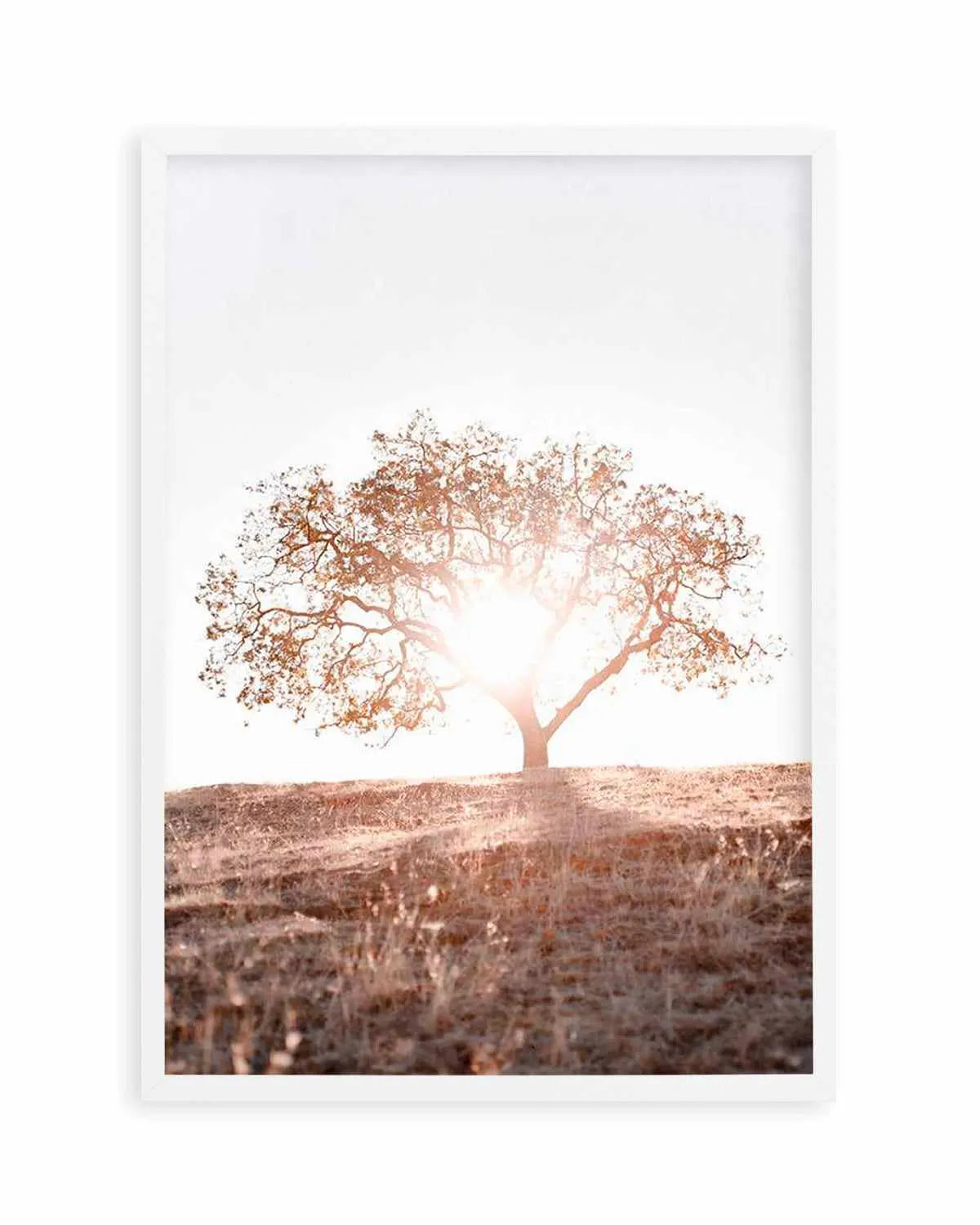 Lone Tree Hill PT by Caleb Morris Art Print from Olive et Oriel where you can shop wallpaper and artworks online
