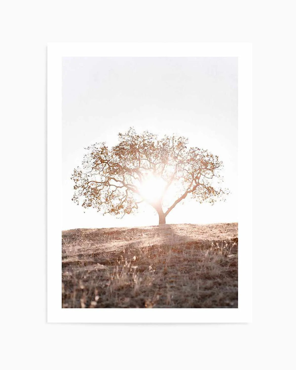 Lone Tree Hill PT by Caleb Morris Art Print from Olive et Oriel where you can shop wallpaper and artworks online