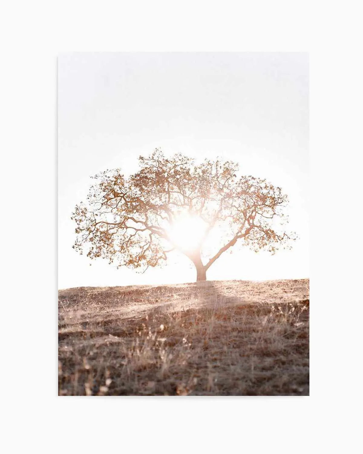 Lone Tree Hill PT by Caleb Morris Art Print from Olive et Oriel where you can shop wallpaper and artworks online
