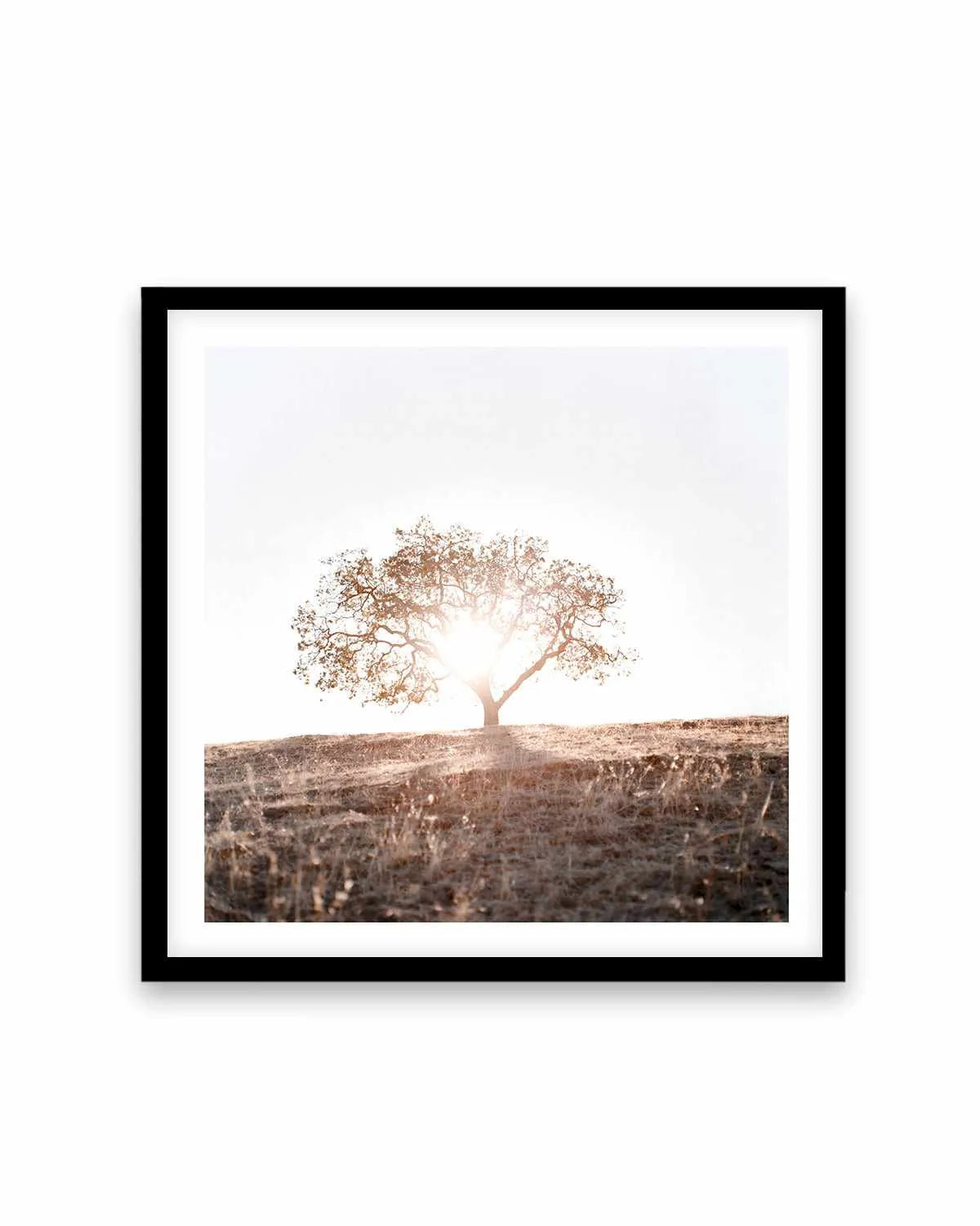 Lone Tree Hill SQ by Caleb Morris Art Print from Olive et Oriel where you can shop wallpaper and artworks online