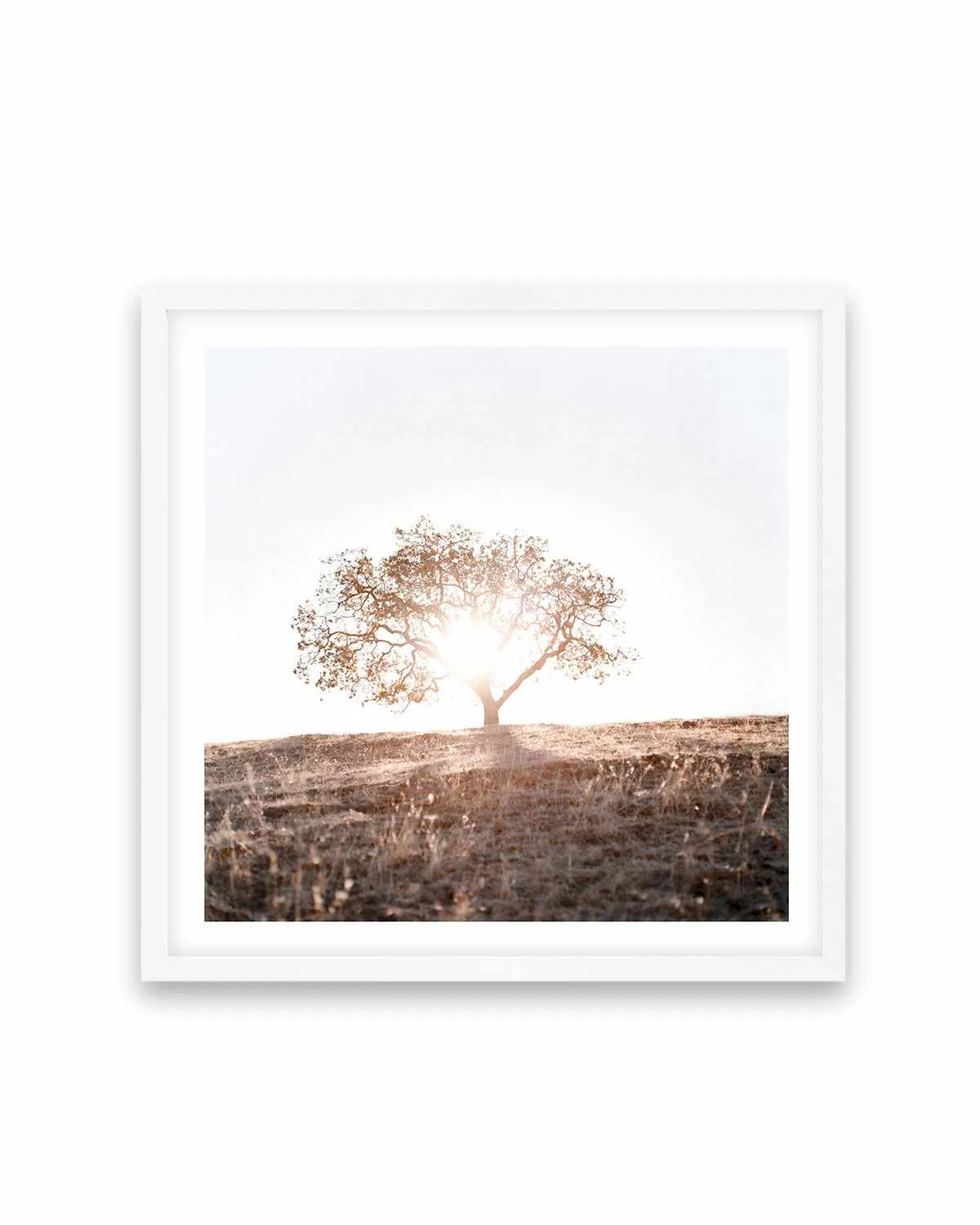 Lone Tree Hill SQ by Caleb Morris Art Print from Olive et Oriel where you can shop wallpaper and artworks online